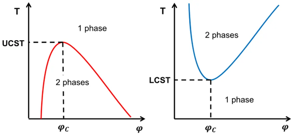 Figure 1.5  Diagrammes de phases typiques polymère-solvant pour des polymères  présentant une UCST (gauche) ou une LCST (droite)