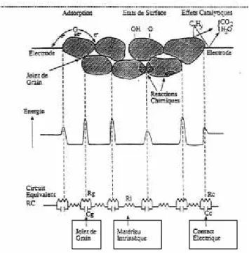 Figure  A.1 : Modélisation des phénomènes électriques mis en jeux lors de la mesure de  conductance dans un matériau semi-conducteur [réf 2] 