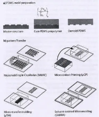 Figure  A.18 : Procédure de préparation du moule en PDMS et présentation des quatre  techniques de dépôts par softlithographie