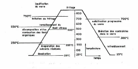 Figure B.5 : Phénomènes se produisant pendant la cuisson d’une couche épaisse [réf 2] 