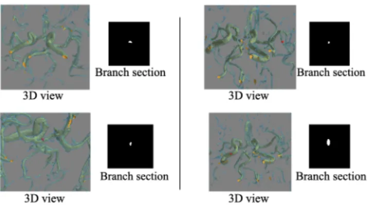 Figure 5: Di ff erent branch sections results. Red dots in the 3D views represent the section points.