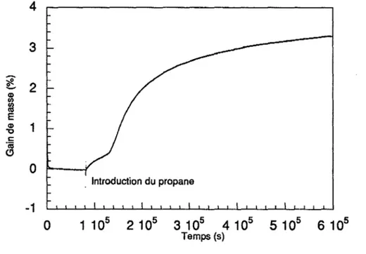 Figure  IS  :  étude  du  gain  de  masse  à  300°C  sous  Pc  H  =  800  mbar. 