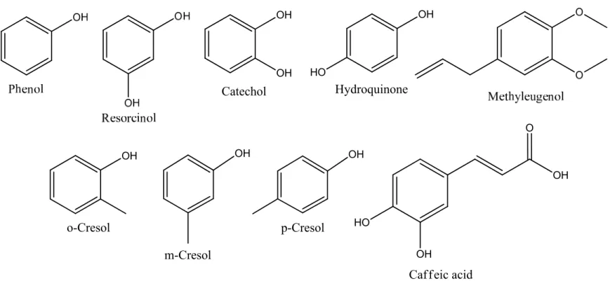 Figure 1-3: Hoffmann analytes, structures of phenolic compounds found primarily in the particulate phase of cigarette smoke (Rodgman et al., 2003)