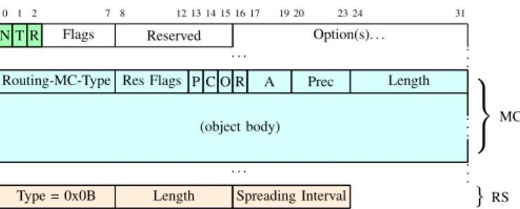Figure 2: New DIS Base Object with the N, T and R flags in the DIS Base Object and examples of the MC and RS Options.