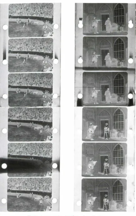 Figure 4: Exemples de teintes de pellicules. 