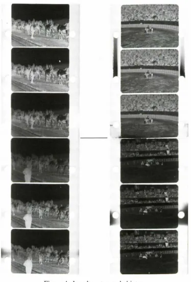 Figure  1 : Les deux types de hiatus. 