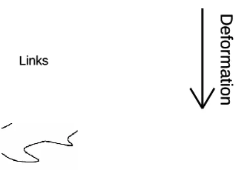 Figure 2. Evolution of the macromolecular network when sub- sub-mitted to a deformation