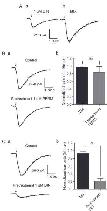 Fig. 5. Currents recorded on nicotinic acetylcholine receptors expressed on cockroach DUM neurons