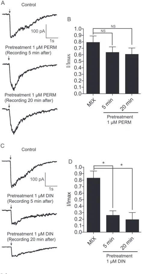 Fig. 8. Pretreatment of Kenyon cells with 1 μ M permethrin (PERM) or 1 μ M dinotefuran (DIN)