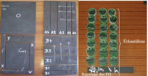 Fig. 3.6 – Prélèvement d’échantillons dans la plaque de composite avec fibre optique intégrée Analysis© .