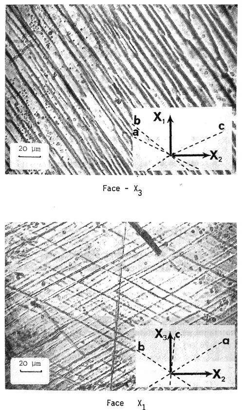 FIGURE 38 - Traces des plans de glissement observées à E ~ 0,5, orientation initiale ~ (110) [IlIJ