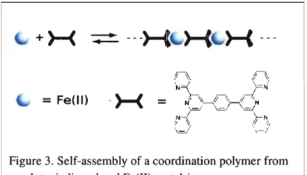 Figure 3.  Self-assembly of a coordination polymer from  a polytopic ligand and Fe(ll) metal-ions