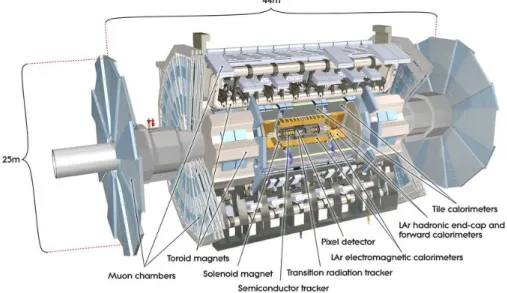 Figure 2 shows an overview of the ATLAS detector. It is 25 m in diameter and 44 m in length, and weights approximately 7000 tons.