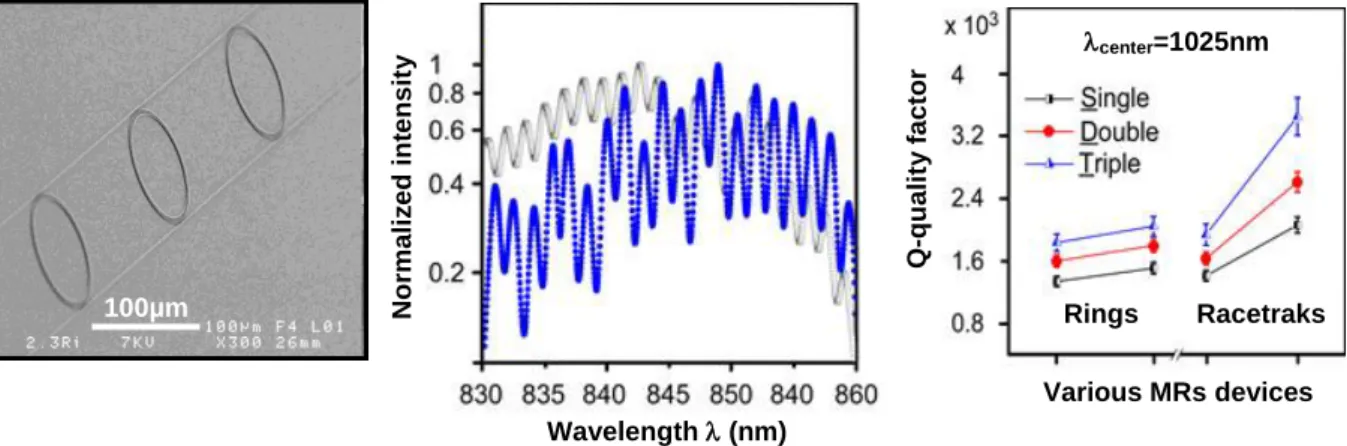 Fig.  2.  SEM  image  of  a  cascade  made  of  three  ring  micro-resonators  (triple-cascade-MRs); 