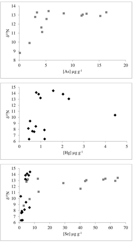 Fig. 2 1 15 N versus As, Hg and Se concentrations in the liver  1 (As, Se) and feathers  1 (Hg, Se)