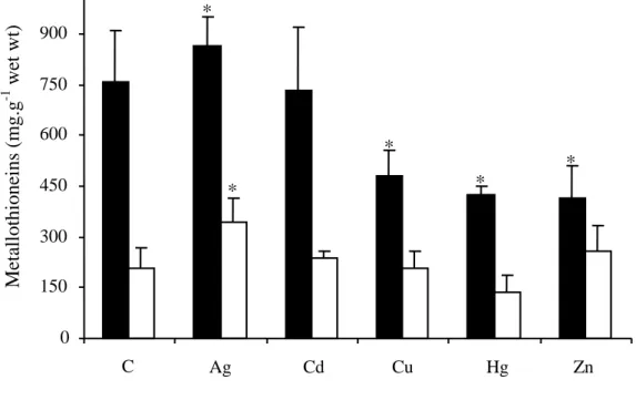 Figure 7.  Levels  of MT protein in  the gills  (black bars) and in  the mantle (white bars) of  Bathymodiolus thermophilus at the atmospheric pressure