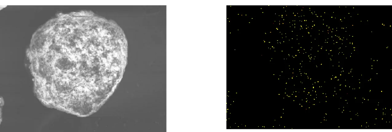 Fig. IV. 22 EDX analysis of the coated particles with a filling ratio J = 20 %, operating time t 