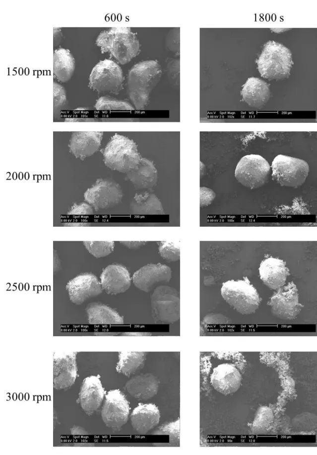 Fig. IV. 8 SEM images of treated particles at each rotational speeds and at 600 s and 1800 s  of operating time 