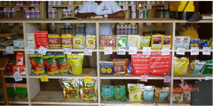 Figure 2  : Intérieur de la boutique d'un détaillant de produits et d’équipement phytosanitaires à Yaoundé (Perrine Branchet, 2015) 