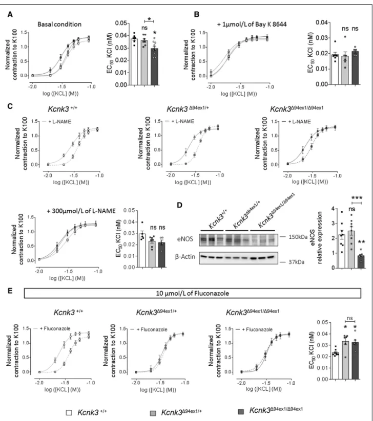 Figure 5. Kcnk3 (potassium channel subfamily K member 3)-dysfunction in rats predisposes pulmonary arteries to constriction