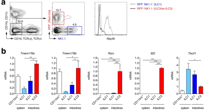 Figure 2.  Tmem176a and b mRNA expression in intestinal ILC3s. (a) Lymphocytes from intestinal  lamina propria of RORγ t-fate map mice (Rorc(γt)-Cre TG  × Rosa26-tdRFP) were isolated