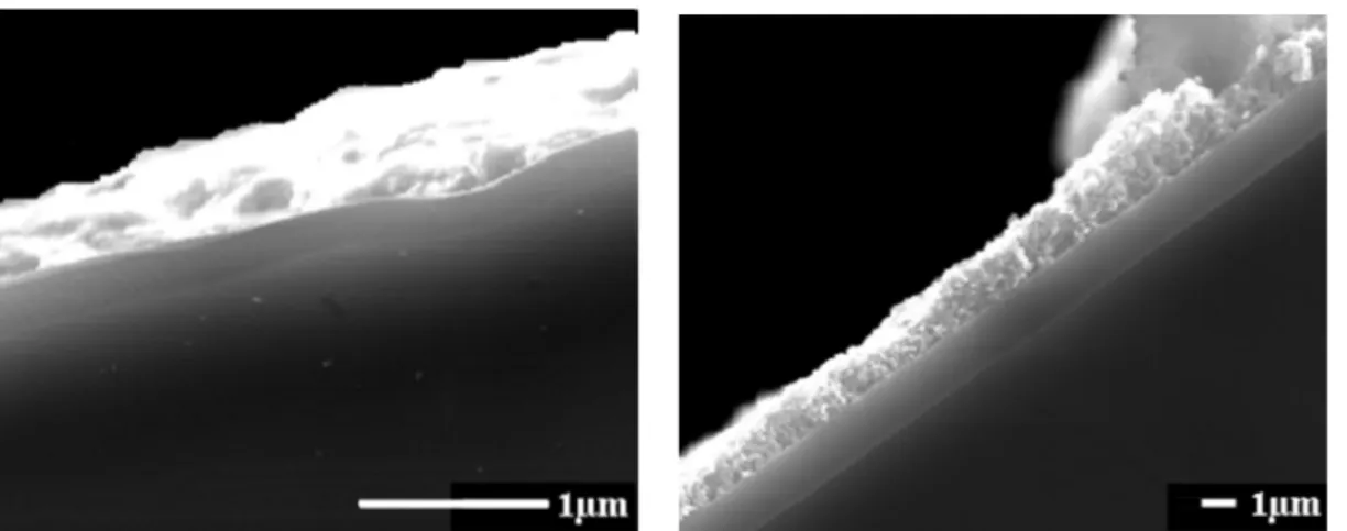 Figure IV- 7 : Images MEB de la tranche de la couche de carbone déposée par trempage : sur du silicium      