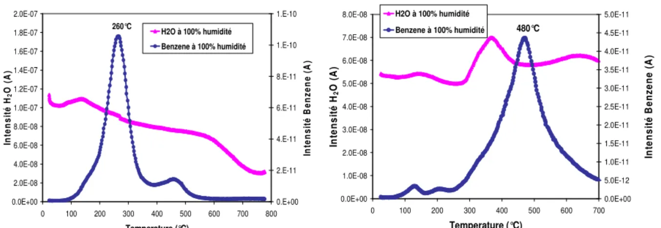 Figure II- 11 : Spectre de désorption du benzène adsorbé sur des SWCNTs (droite) et MWCNTs (gauche)  en présence d’humidité