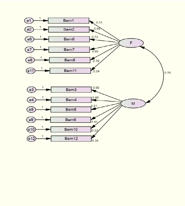 Figure  2. Hypothesised 2 factor  model  (model 2) of factorial structure of Bem sex  role  inventory (n=979)