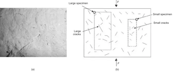 Fig. 4. Schematisation of origin of size effect: (a) close-up of freshly cut rock surface, showing flaws, cracks and pore cavities; (b) within a given mineral matrix, the large specimen will tend statistically to include larger flaws or cracks affecting it