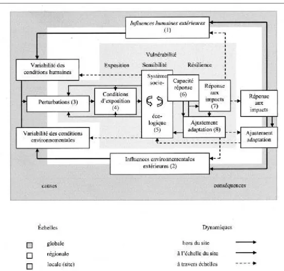 Figure 19. Liaisons entre vulnérabilité et changements environnementaux globaux  Source : Décamps, 2007, 50, d’après Turner et al., 2003