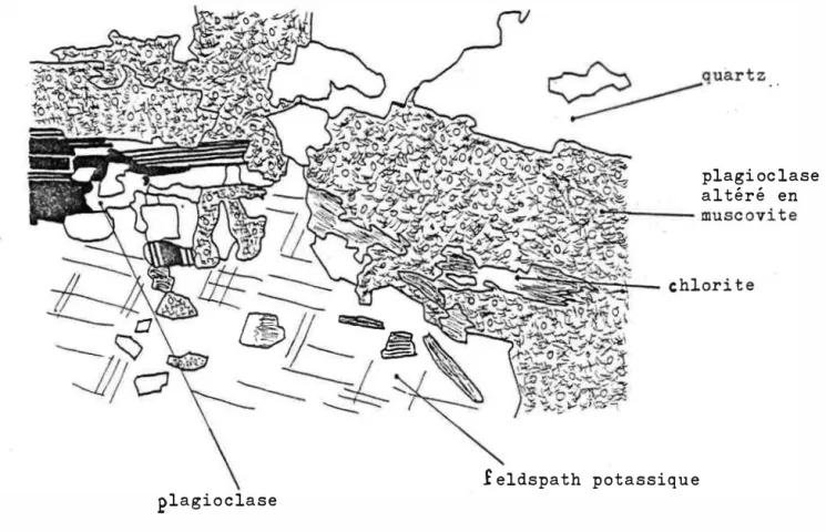 Fig.  1 2 :  contac t  entre  un  grand  c r i s tal  de  feldspath  potassique  e t   le  fond  de  la  roche 