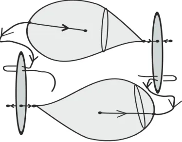 Figure 3: A Morse-Smale diffeomorphism without heteroclinic curves given on S 3