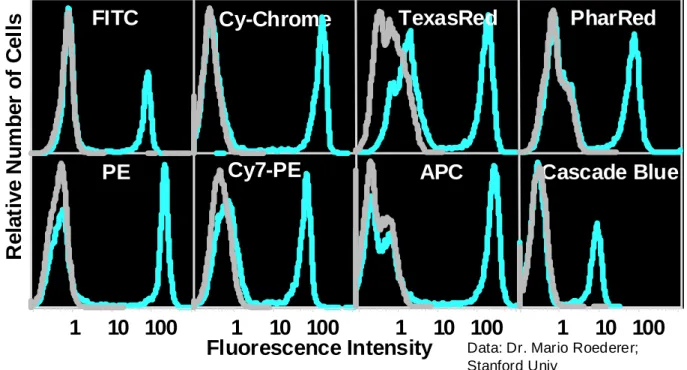 Figure 2.5 : Brillance différentielle (rendement quantique) entre fluorochromes disponibles