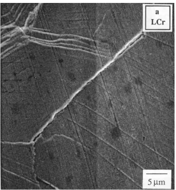 Figure 1.22  Mesure du glissement intergranulaire à partir de rayures marquées avant déformation, observées en microscopie électronique à balayage après déformation [AW94]