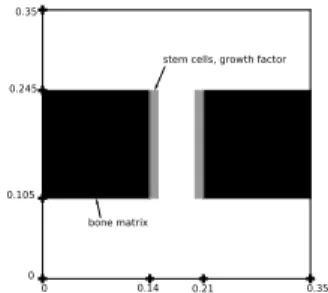 Fig. 2 Geometry and initial condition: the black area corresponds to the bone matrix (m 0 = 1) and the grey area to the cellular cluster (s 0 = 1, g 0 = 20)