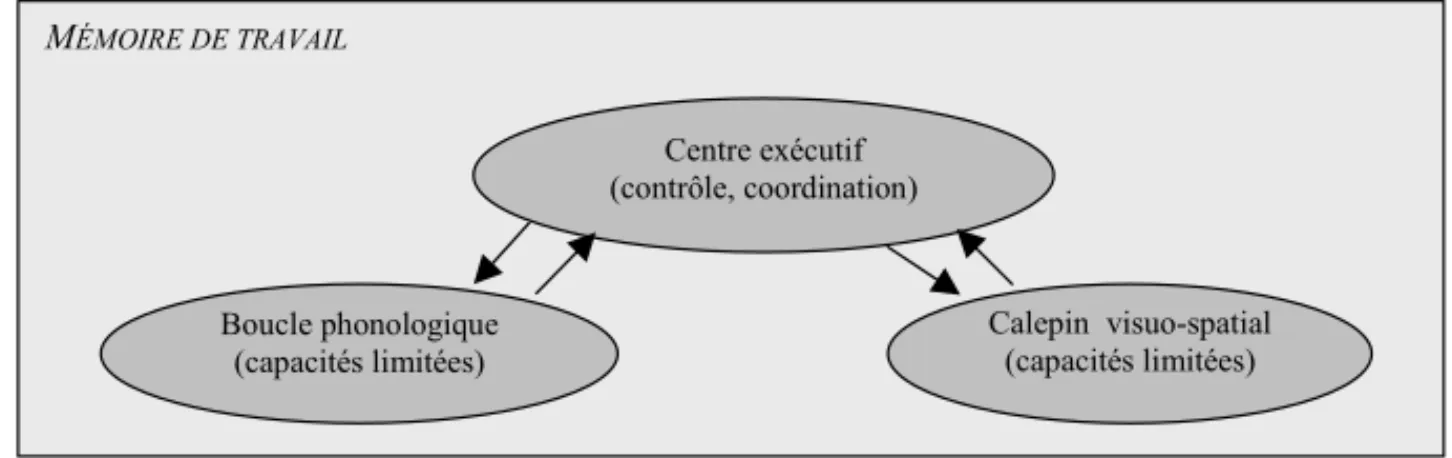 Figure 1. Modèle théorique de la mémoire de travail (Baddeley, 1986).