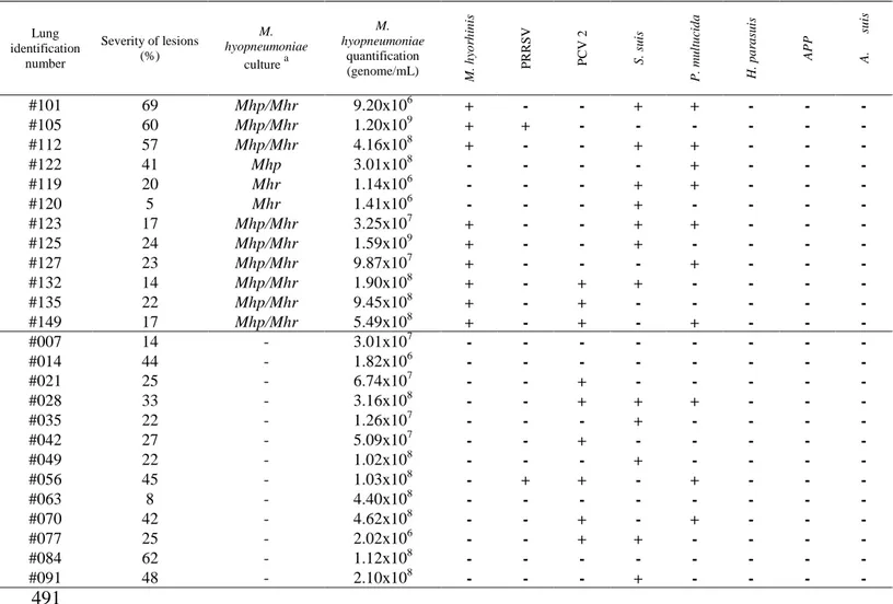 Table 1: Severity of lesions, quantification of M. hyopneumoniae in lungs with lesions 488 