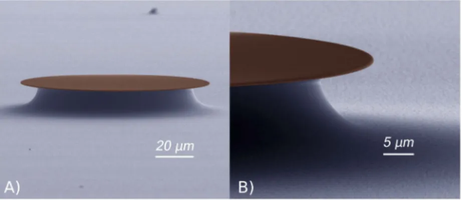 Figure 1 shows SEM images of a SU-8 microdisk with a 50-µm radius and a 10-µm undercut.