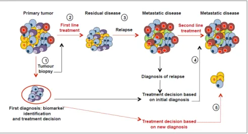 Figure 4. Effects of tumour heterogeneity on the predictive value of biomarkers. Cancer diagnosis is  commonly based on a biopsy (1) that contains only a small fraction of tumour and may thus not be  representative of all the subclones (cells in different 