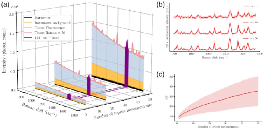 Fig. 1 (a) Depiction of the relative proportion of different sources of signal in a human brain meas- meas-urement made using a Raman spectroscopy system, including dark counts and background (e.g., fluorescence from tissue and optical components)