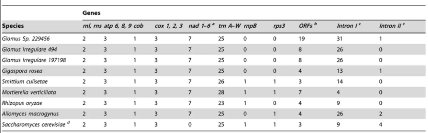 Table 2.1. Gene and intron content in AMF and selected fungal mtDNAs.