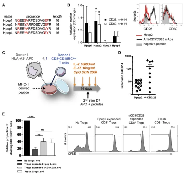 Figure 4. Long MHC Class II Peptides Activate and Expand Human CD8 + Tregs