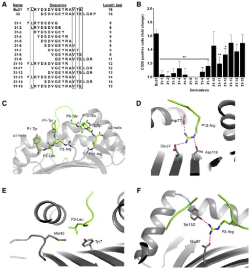 Figure 1. Donor-Derived Bu31 Peptide and Its Longest Derivatives Activate CD8 + Treg Function and Crystallize in Complex with Self-MHC Class I Molecule