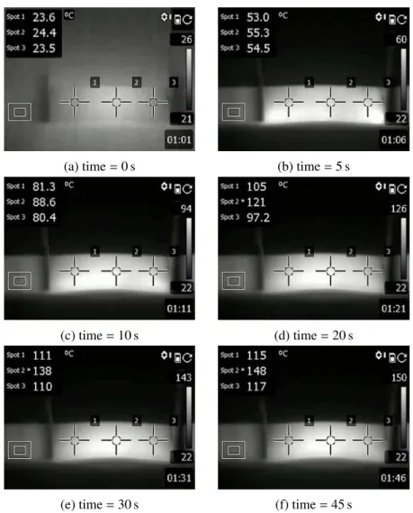 Figure 3: Thermography of a heating element during the experimental validation under a DC elec- elec-trical field of 800 V m −1 [20]
