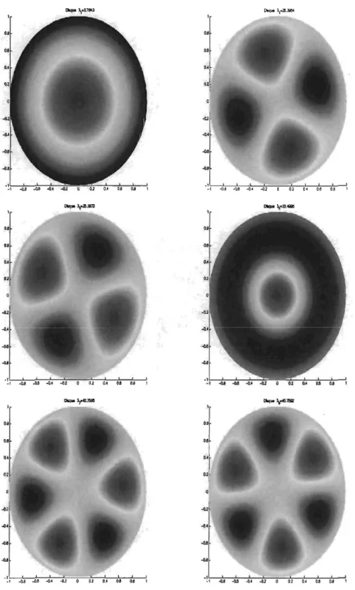 FIG.  2.7.  Domaines  nodaux  de  la  Fe ,  4 e,  5 e,  6 e ,  7 e  et  se  fonction  propre  pour  le  disque  D  de  rayon  1 