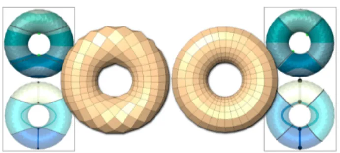 Fig. 8. The torus remeshed with fractional half-saddles (right) does not contain any extraordinary vertices.