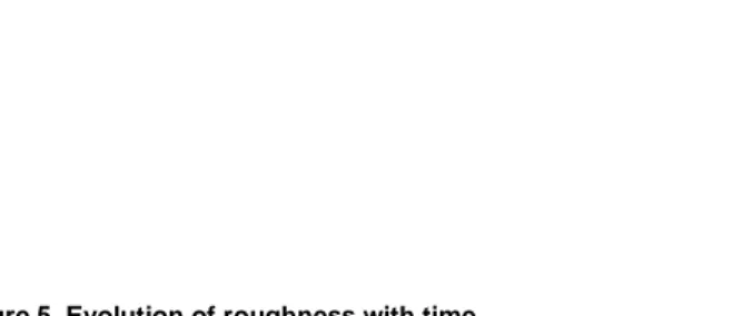 Figure 5. Evolution of roughness with time. 