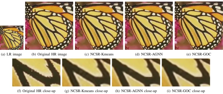 Fig. 7: Comparison of SR results (×3). It can be observed that NCSR-AGNN and NCSR-GOC reconstruct edges with a higher contrast than NCSR-Kmeans