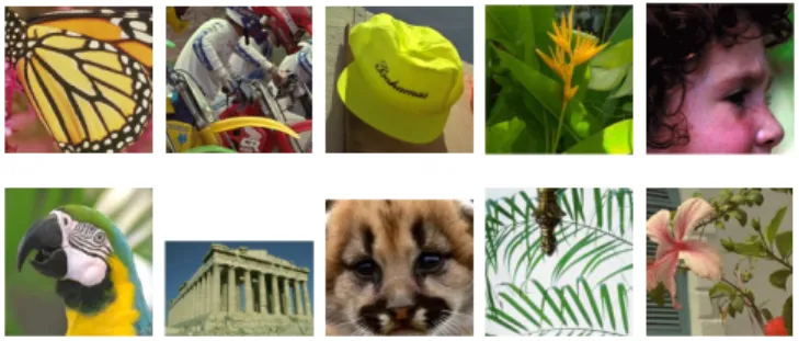Fig. 6: Test images for super-resolution: Butterfly, Bike, Hat, Plants, Girl, Parrot, Parthenon, Raccoon, Leaves, Flower.