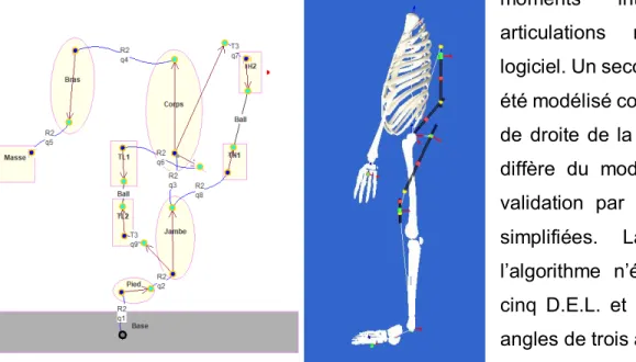 Figure 12. Modèle simplifié du corps humain équipé de  l’exosquelette 